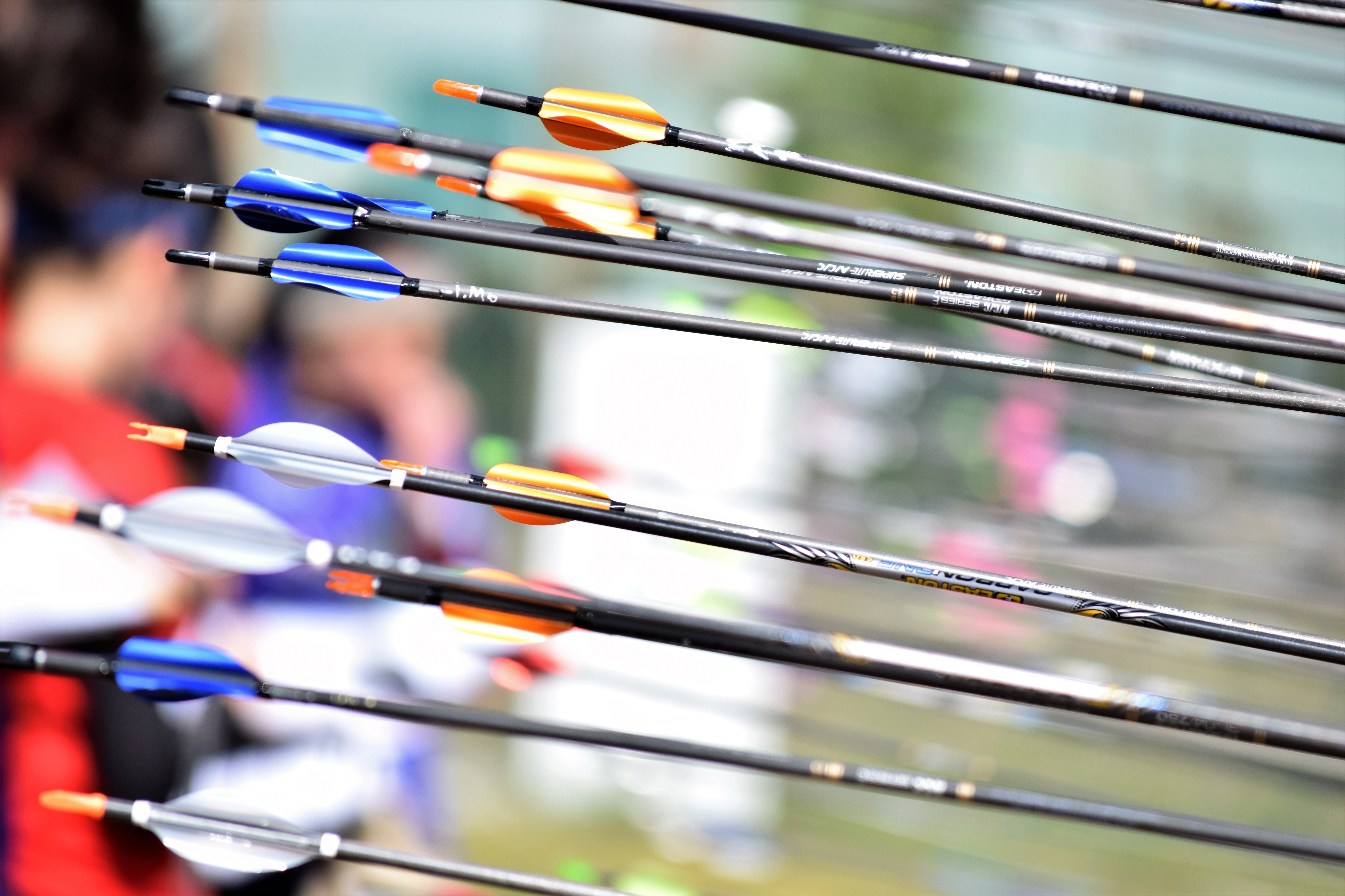 Propuestas de actividades